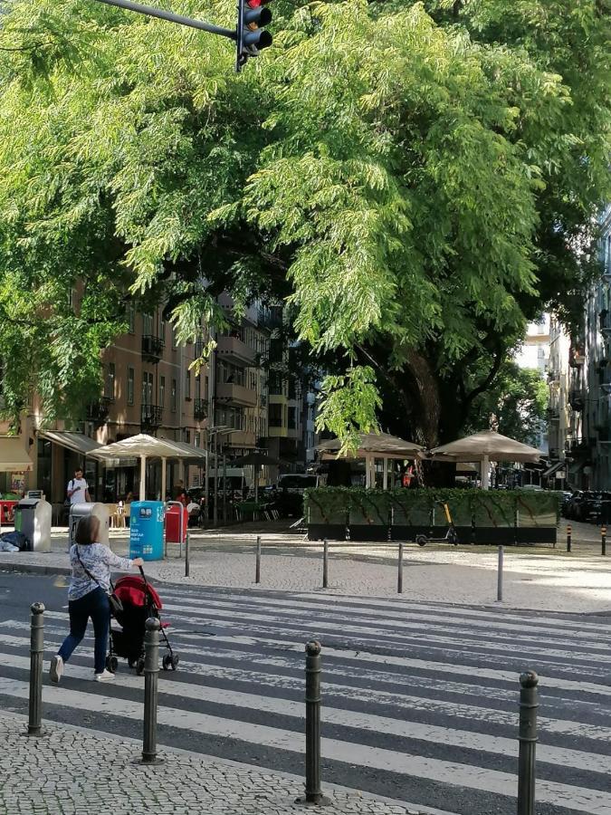 In Centre Of Apartment Lisbon
